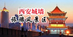 黄片视频草逼中国陕西-西安城墙旅游风景区